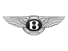 Bentley AdBlue programavimas