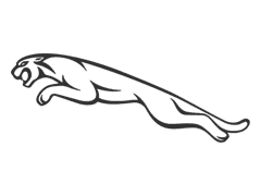 Jaguar AdBlue programavimas