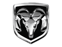 Ram EGR programavimas